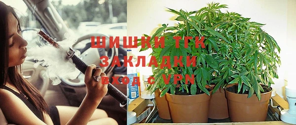 прущие крисы Армянск