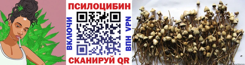 omg ONION Среднеколымск Псилоцибиновые грибы MAGIC MUSHROOMS купить закладку